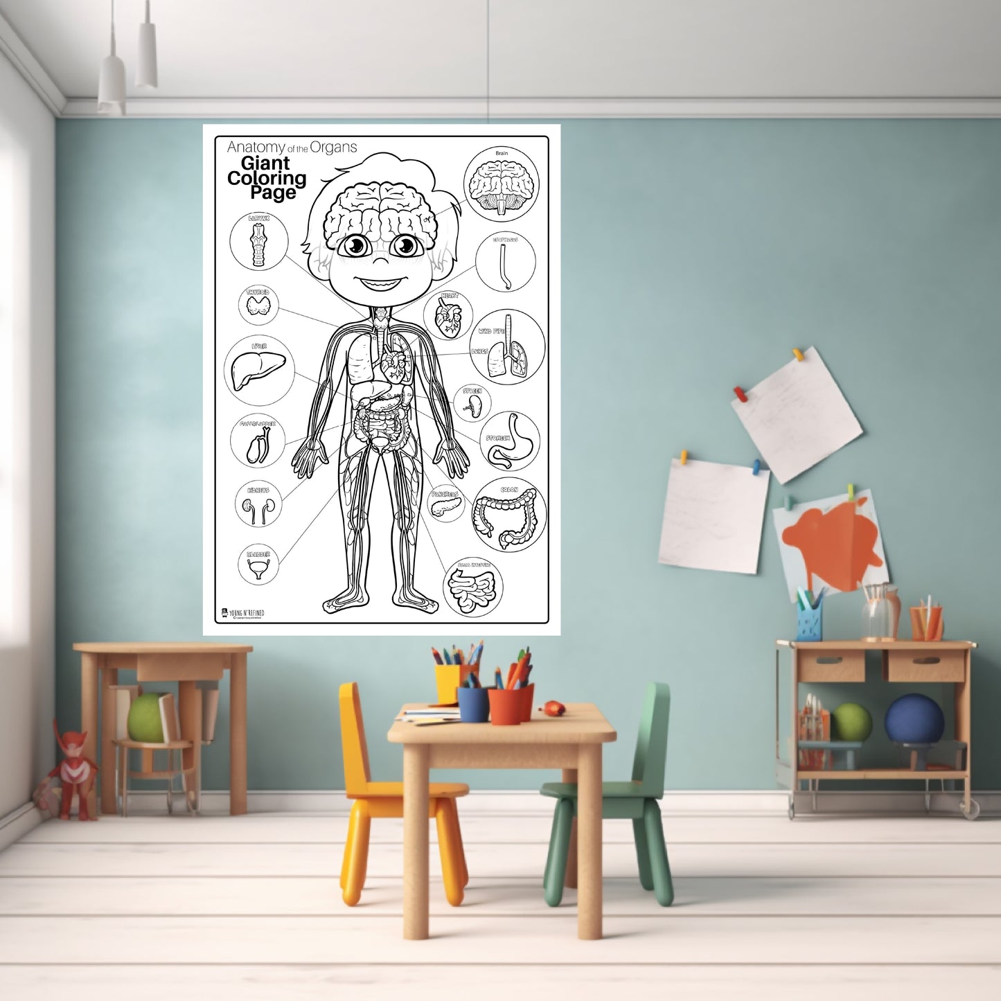 Human Anatomy Organs Extra Giant Coloring Page for kids Young N Refined