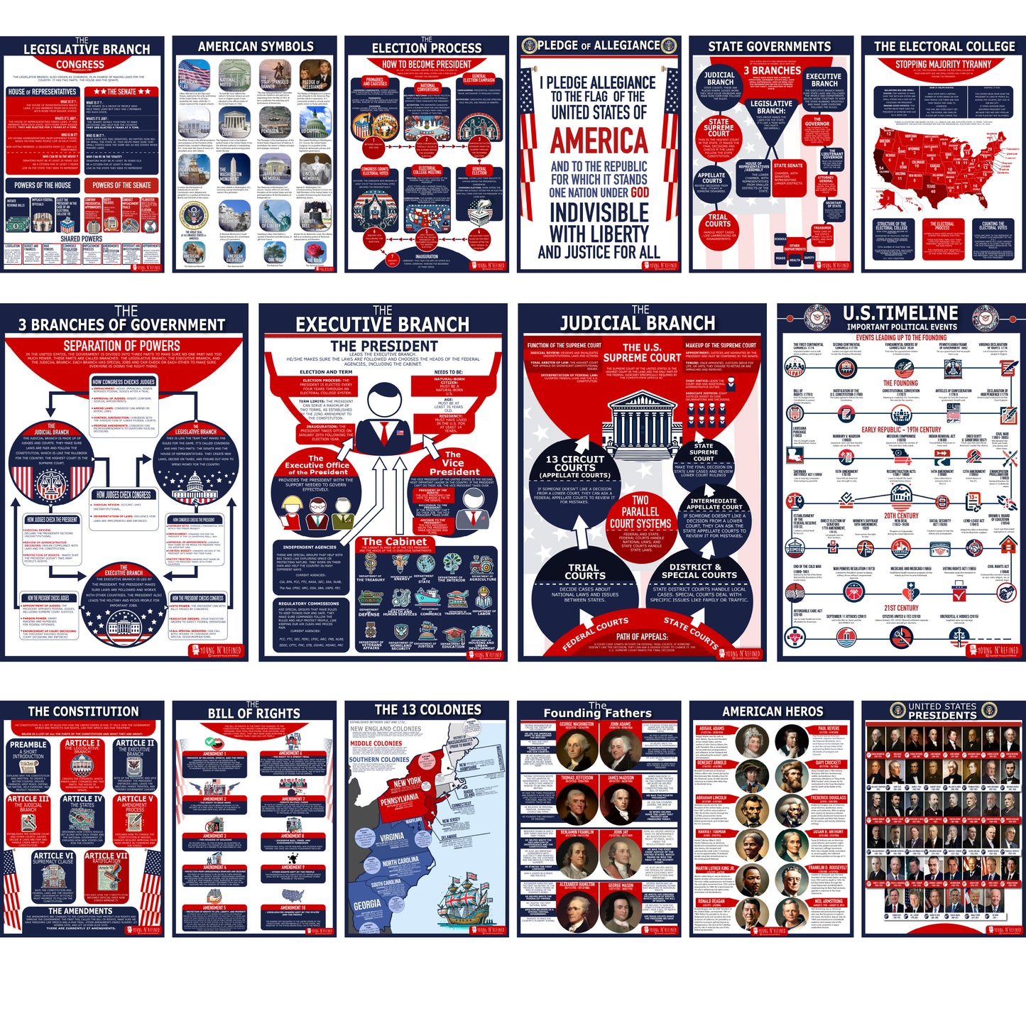 16 US Government History Large Poster Pack Charts for Classrooms 12.5x18 Matt & Laminated