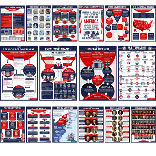 16 US Government History Large Poster Pack Charts for Classrooms  12.5x18 Matt & Laminated