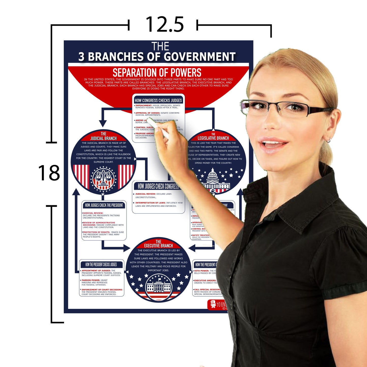 16 US Government History Large Poster Pack Charts for Classrooms 12.5x18 Matt & Laminated