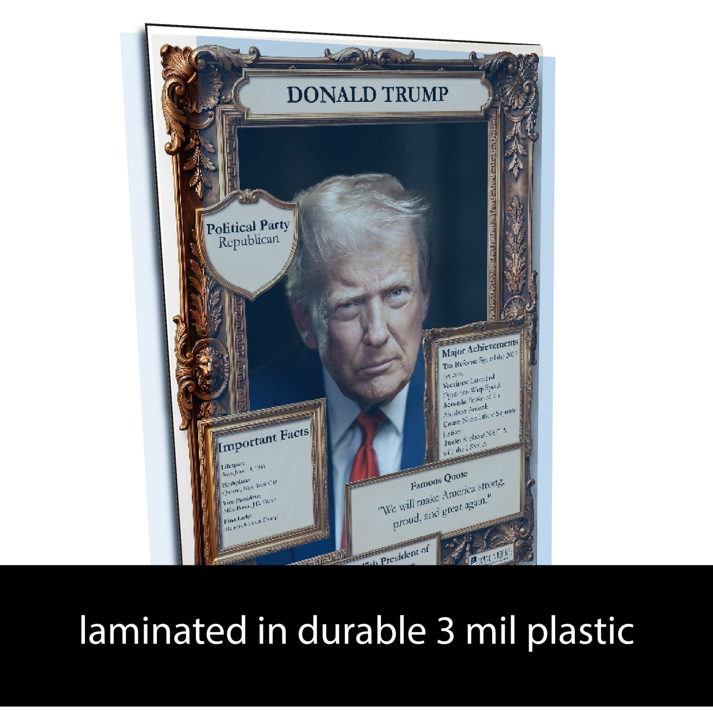 45th US President Donald Trump Inspirational Quote Poster - Young N Refined