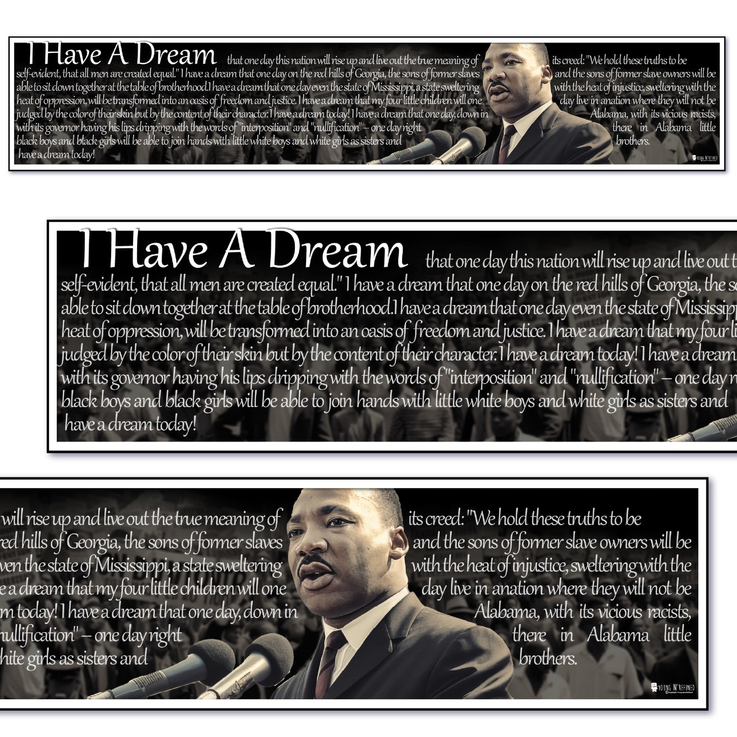 Martin Luther King Jr. Banner for Classroom Plastic Bulletin Board Sign Young N Refined
