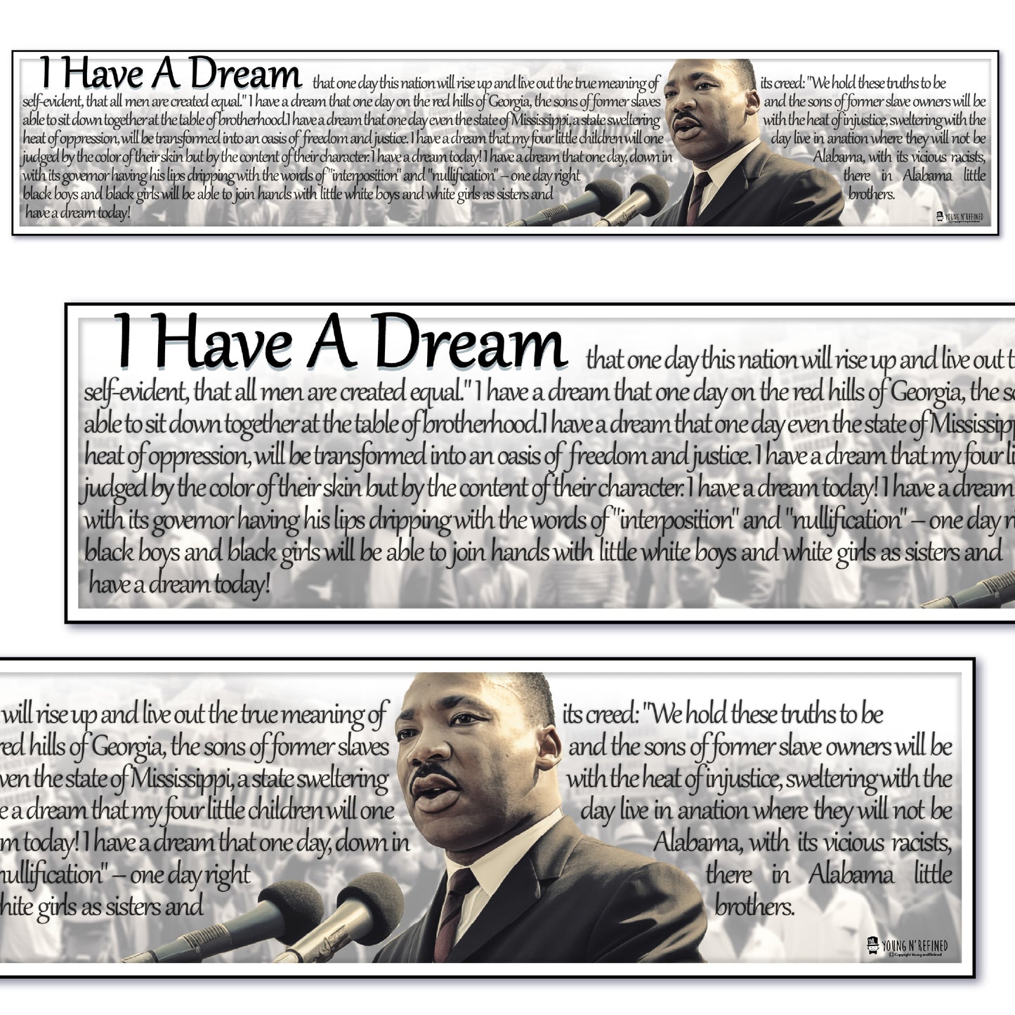 Martin Luther King Jr. Banner for Classroom Plastic Bulletin Board Sign Young N Refined