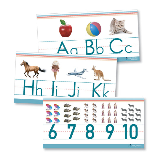 Alphabet and numbers classroom Wall Line for teaching ABCs Young N Refined