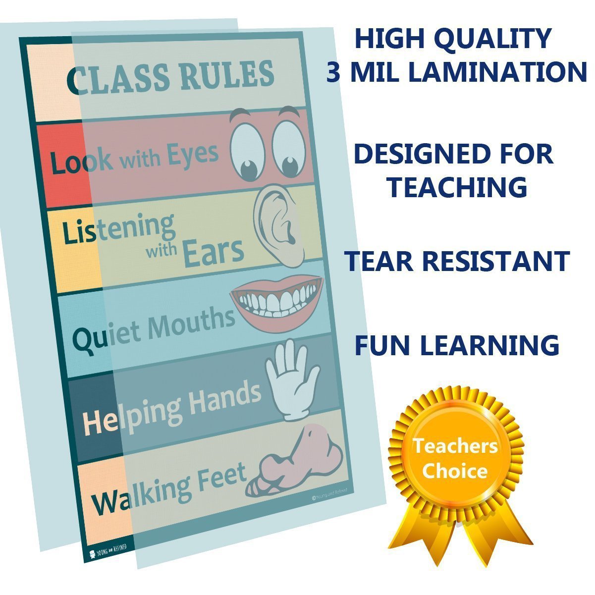 Classroom Rules Sign Chart Laminated Classroom Teacher Poster - Young N' Refined