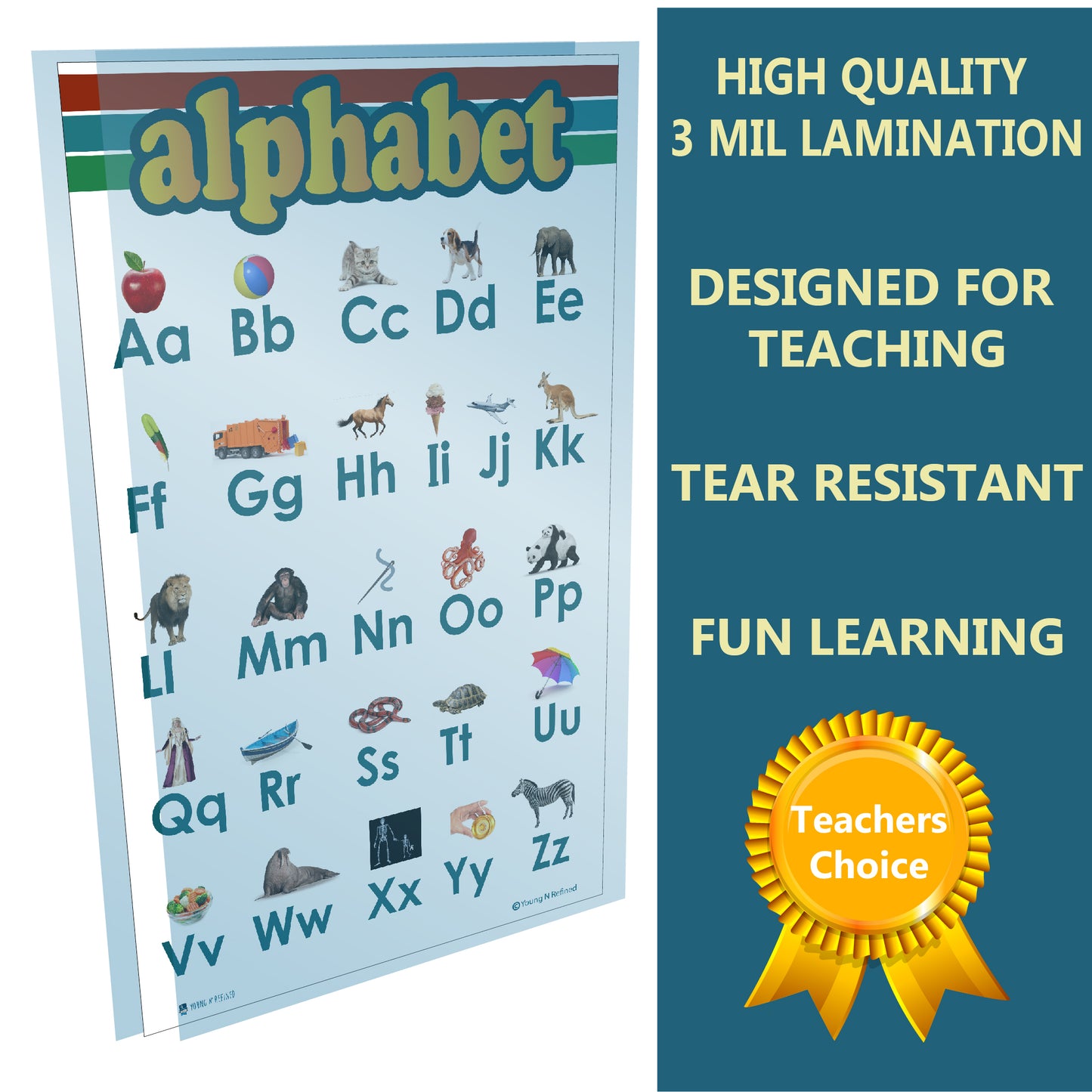 10 Educational Posters for kids Alphabet, Numbers 1-100, Days of week, Months, count 1-10, Money, shapes 2D 3D, Feelings, Farm Animals, Colors Young N Refined (Glossy Paper 13x18)