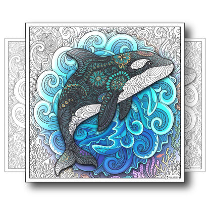 Large Adult Coloring Poster Page Orca Made of Mandala Floral