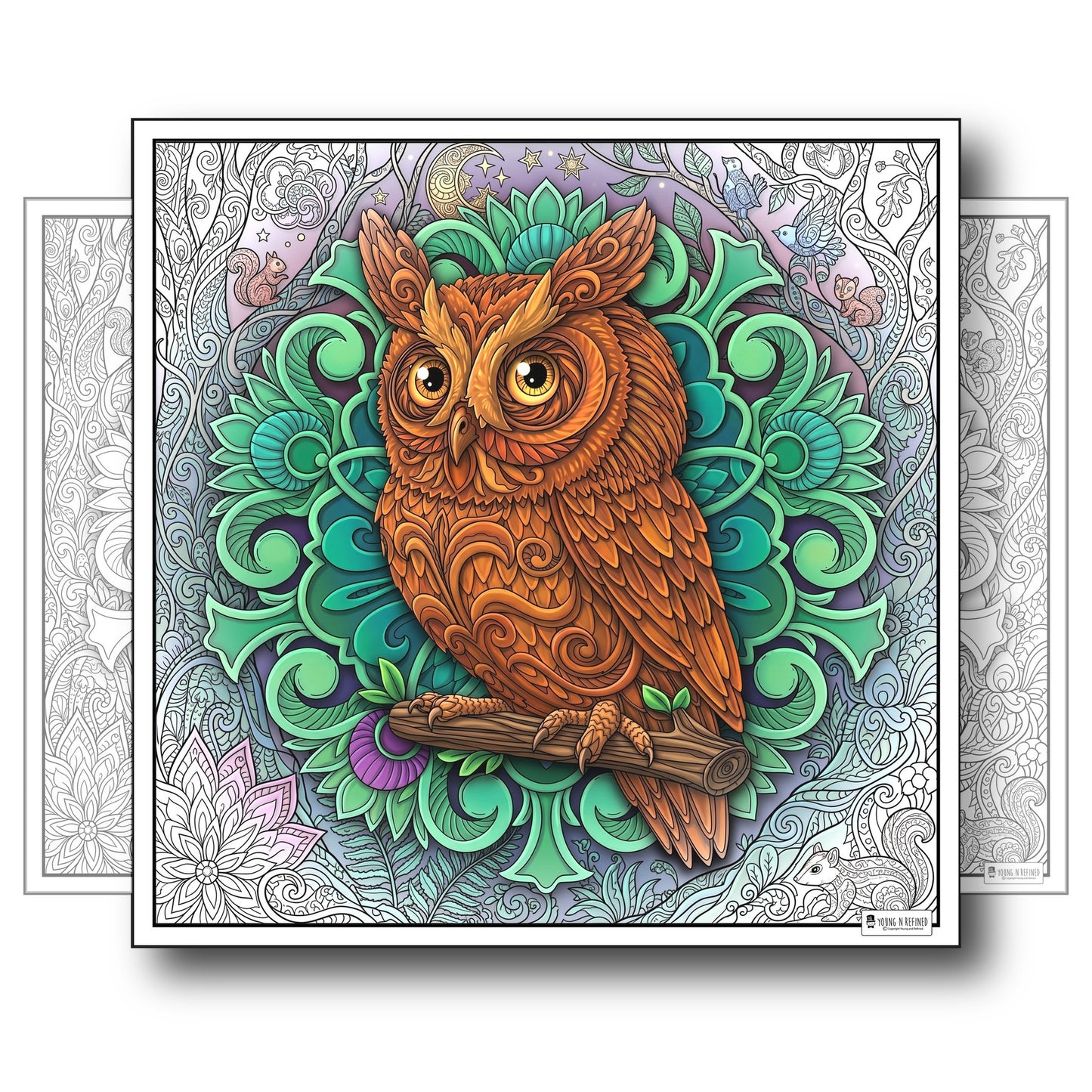 Large Adult Coloring Poster Page Owl Made of Mandala Floral