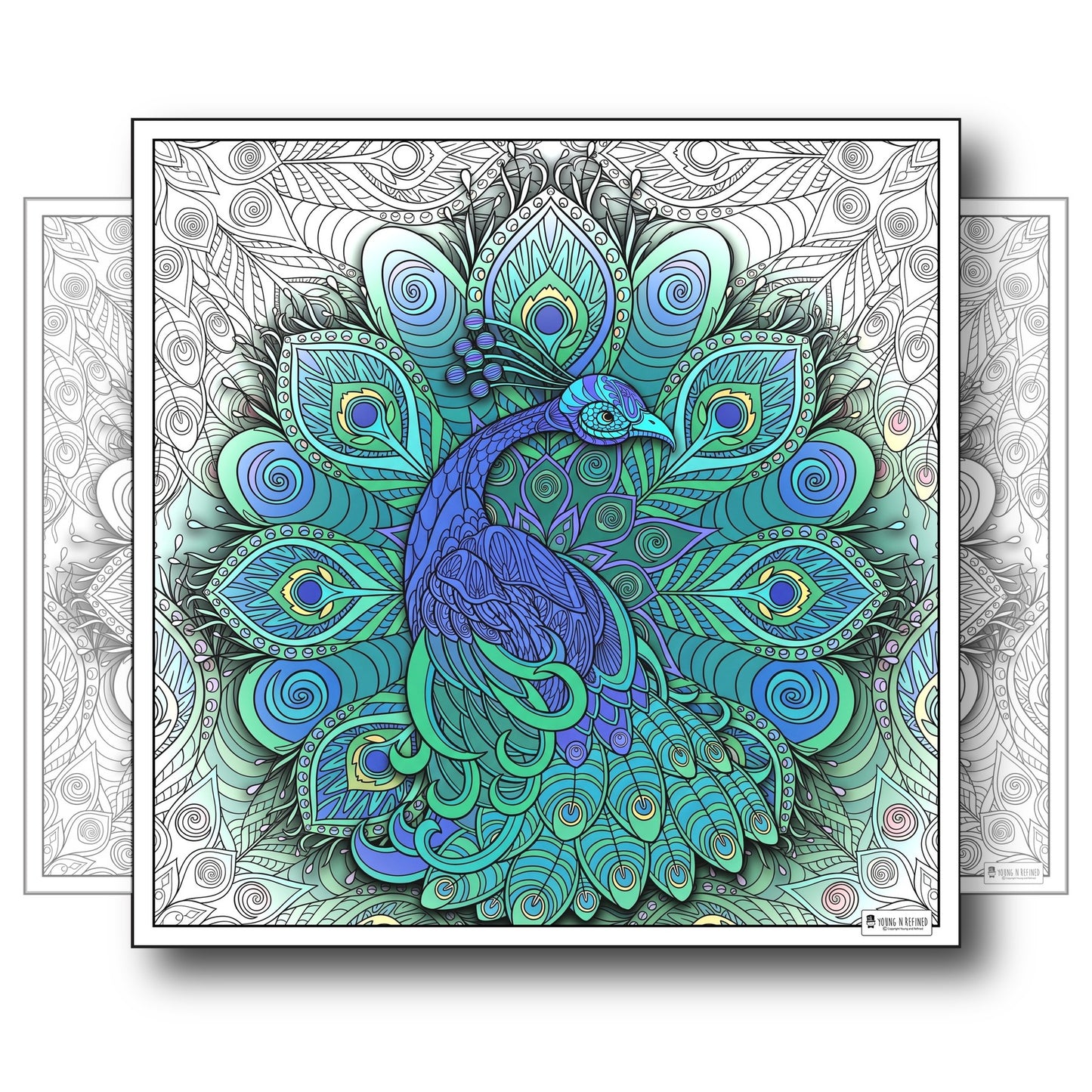 Large Adult Coloring Poster Page Peacock Made of Mandala Floral