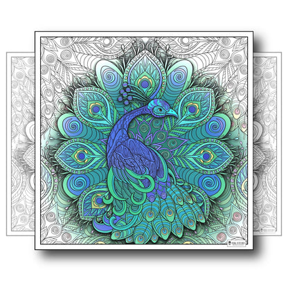 Large Adult Coloring Poster Page Peacock Made of Mandala Floral