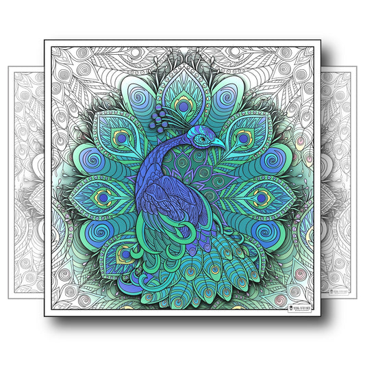 Large Adult Coloring Poster Page Peacock Made of Mandala Floral