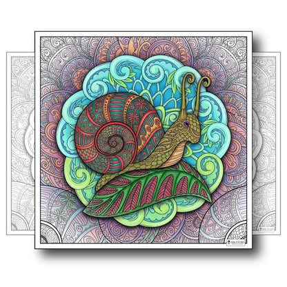 Large Adult Coloring Poster Page Snail Made of Mandala Floral