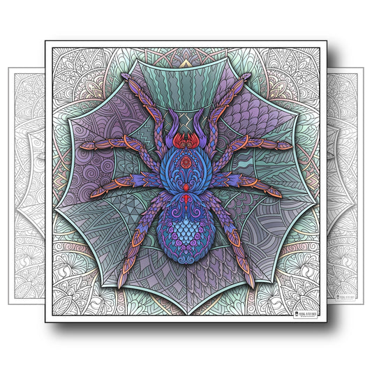 Large Adult Coloring Poster Page Spider Made of Mandala Floral
