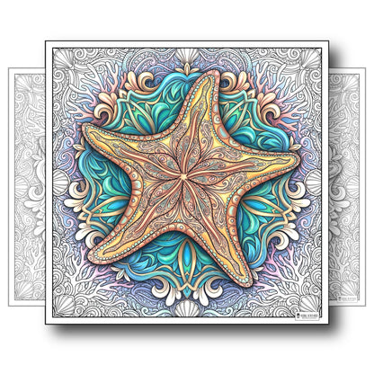 Large Adult Coloring Poster Page Starfish Made of Mandala Floral