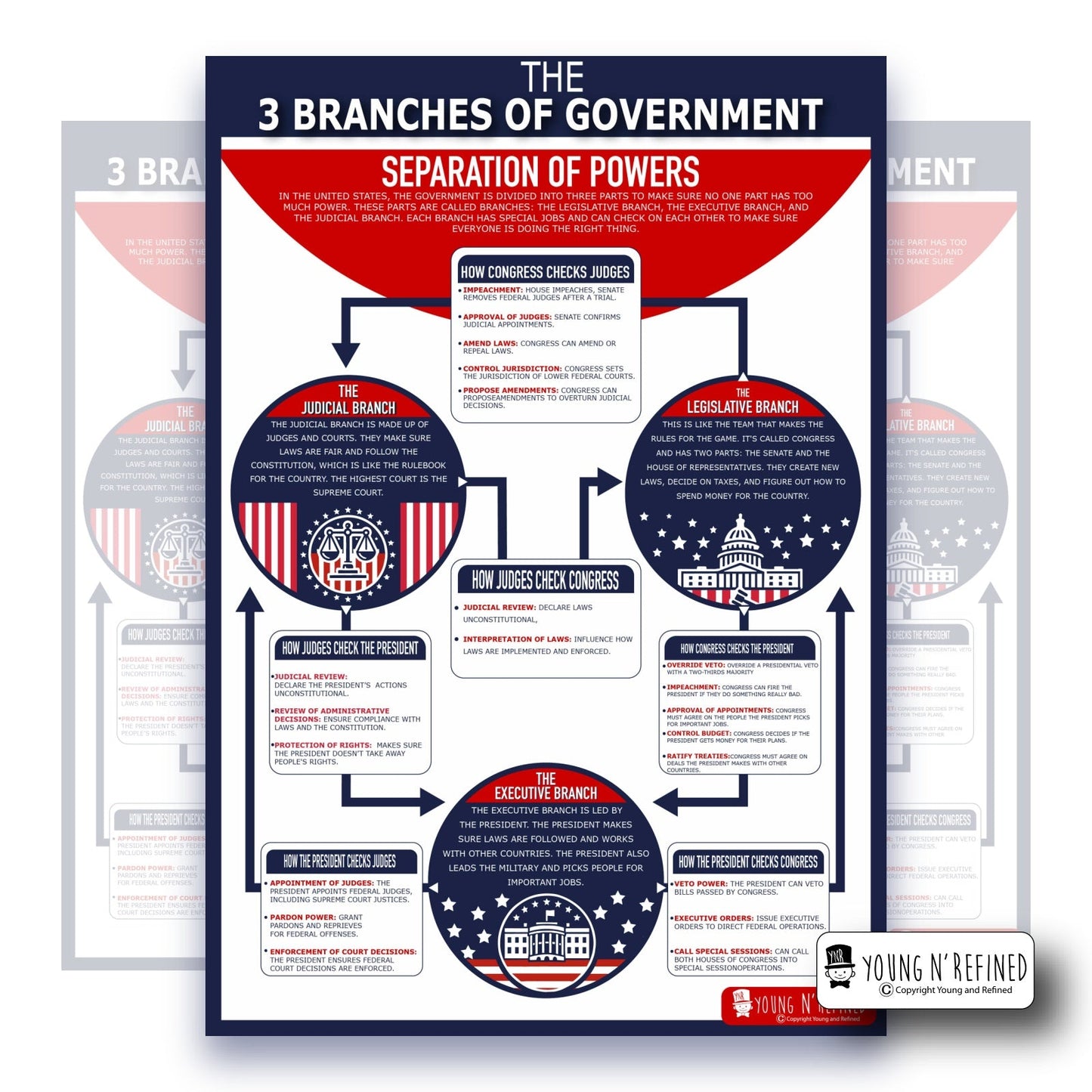 3 Branches