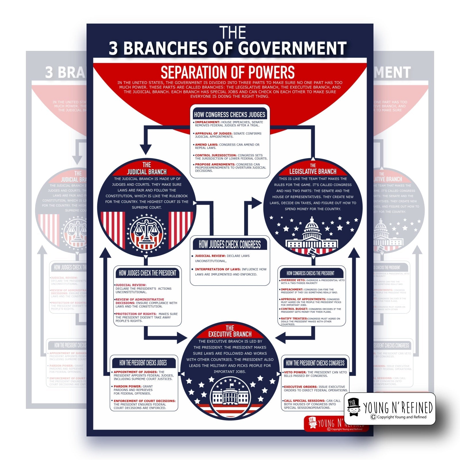 3 Branches