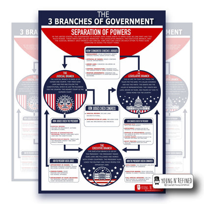 3 Branches