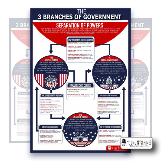 3 Branches