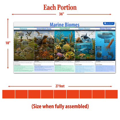 Natrual habitats Biomes Bulletin Board set