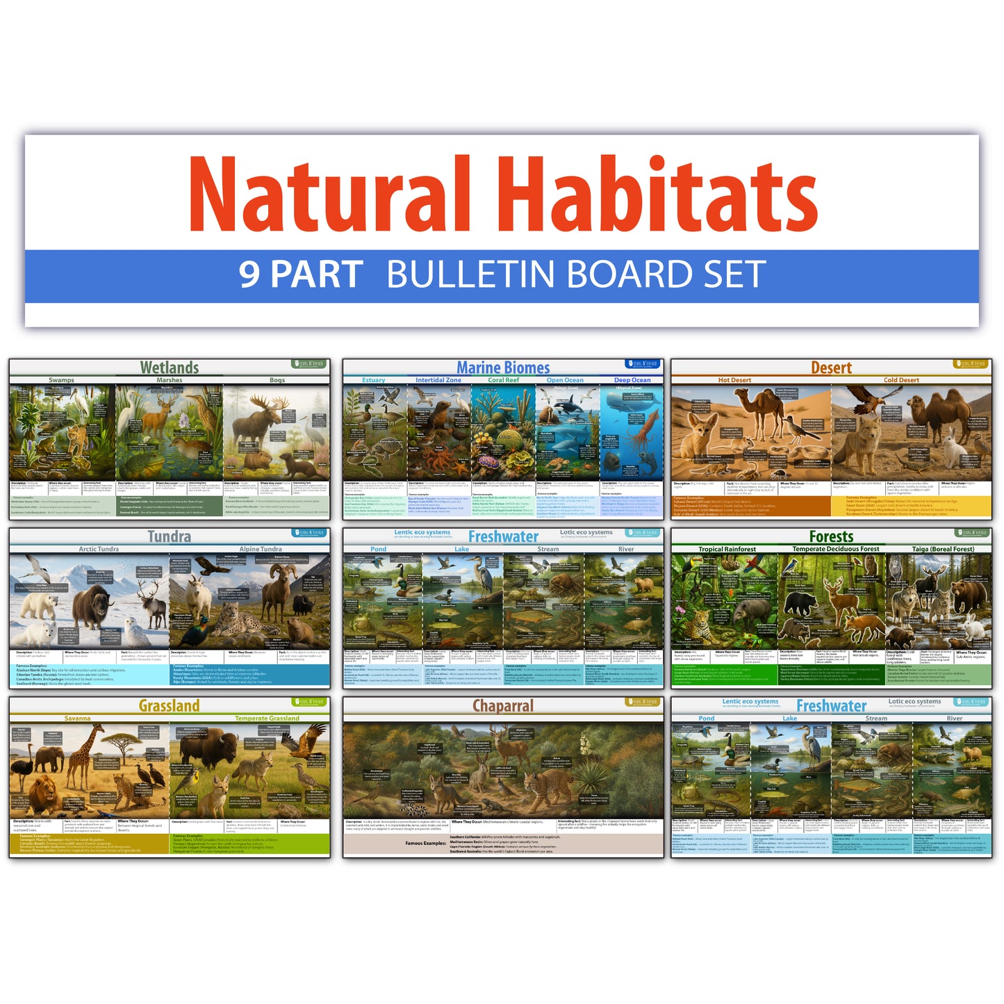 Natrual habitats Biomes Bulletin Board set