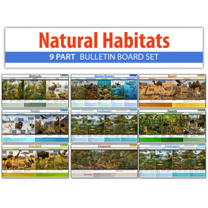 Natrual habitats Biomes Bulletin Board set