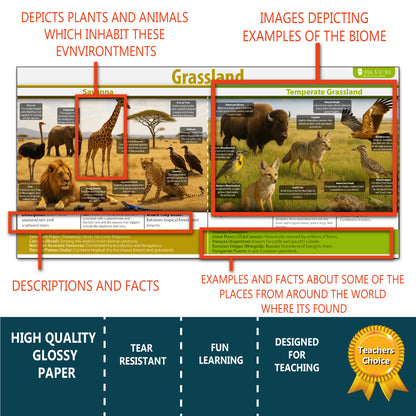 Natrual habitats Biomes Bulletin Board set