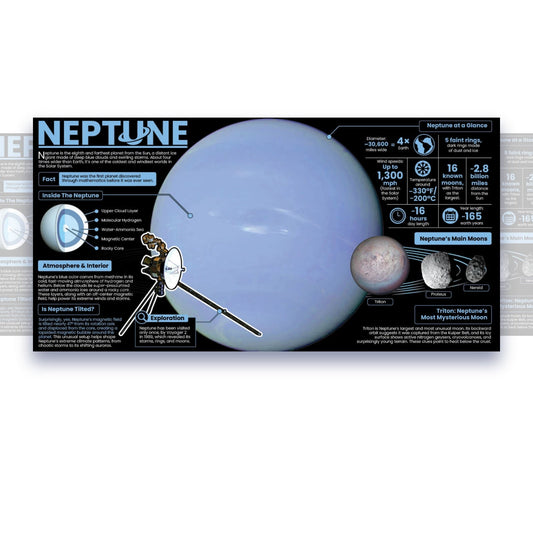 Neptune Educational Classroom Poster Young N Refined
