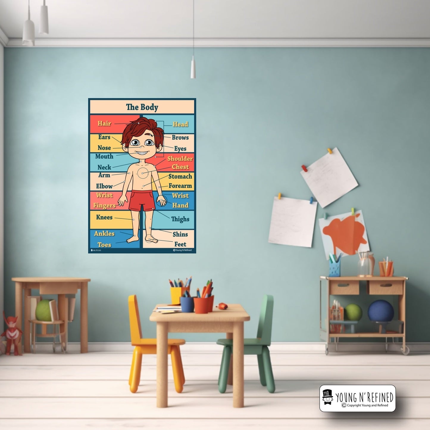 Human Body Poster in Classroom