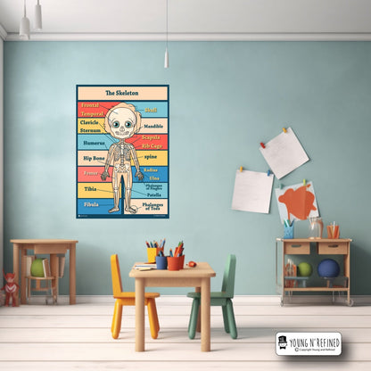 Skeleton Bones Poster in Classroom