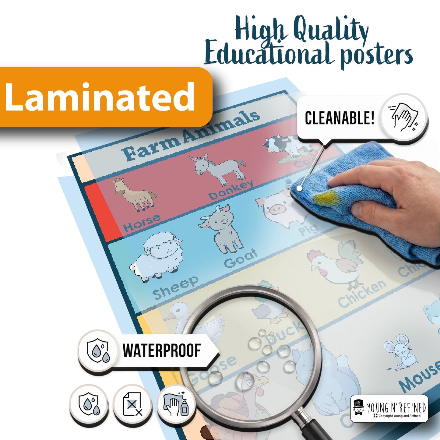 Farm Animals Laminated Poster