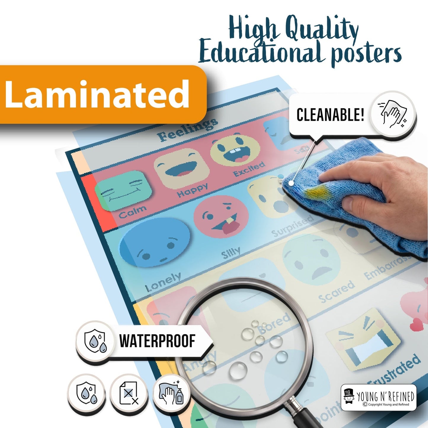 Feelings Laminated Poster