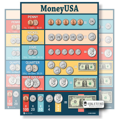 USA Money Poster Main