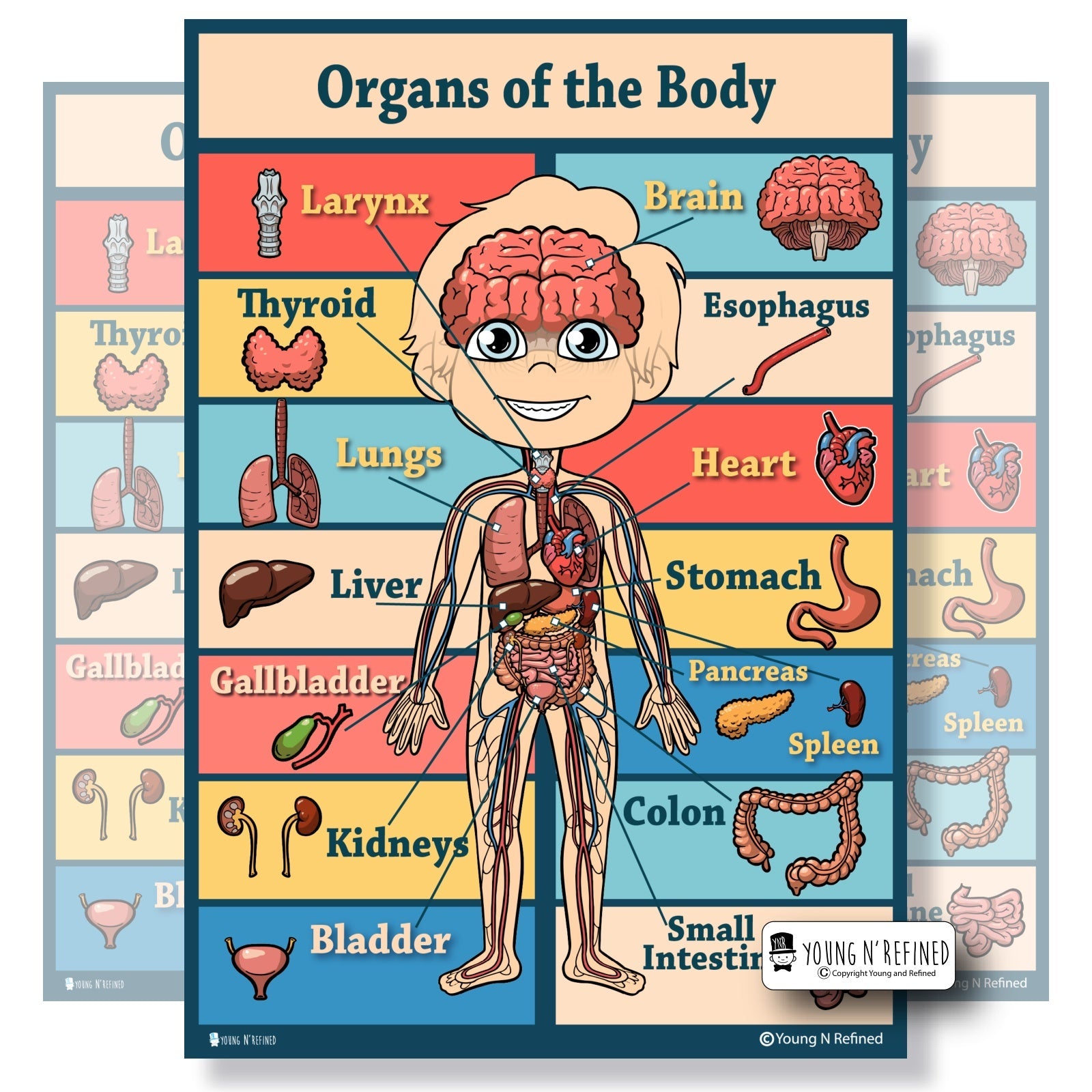 Organs Poster Main