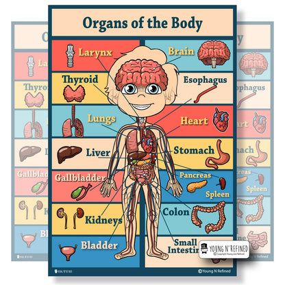 Organs Poster Main