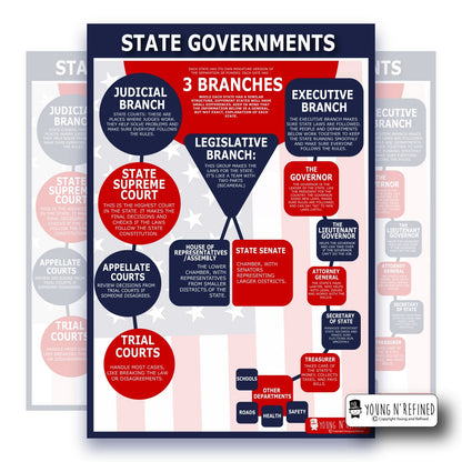 State Government