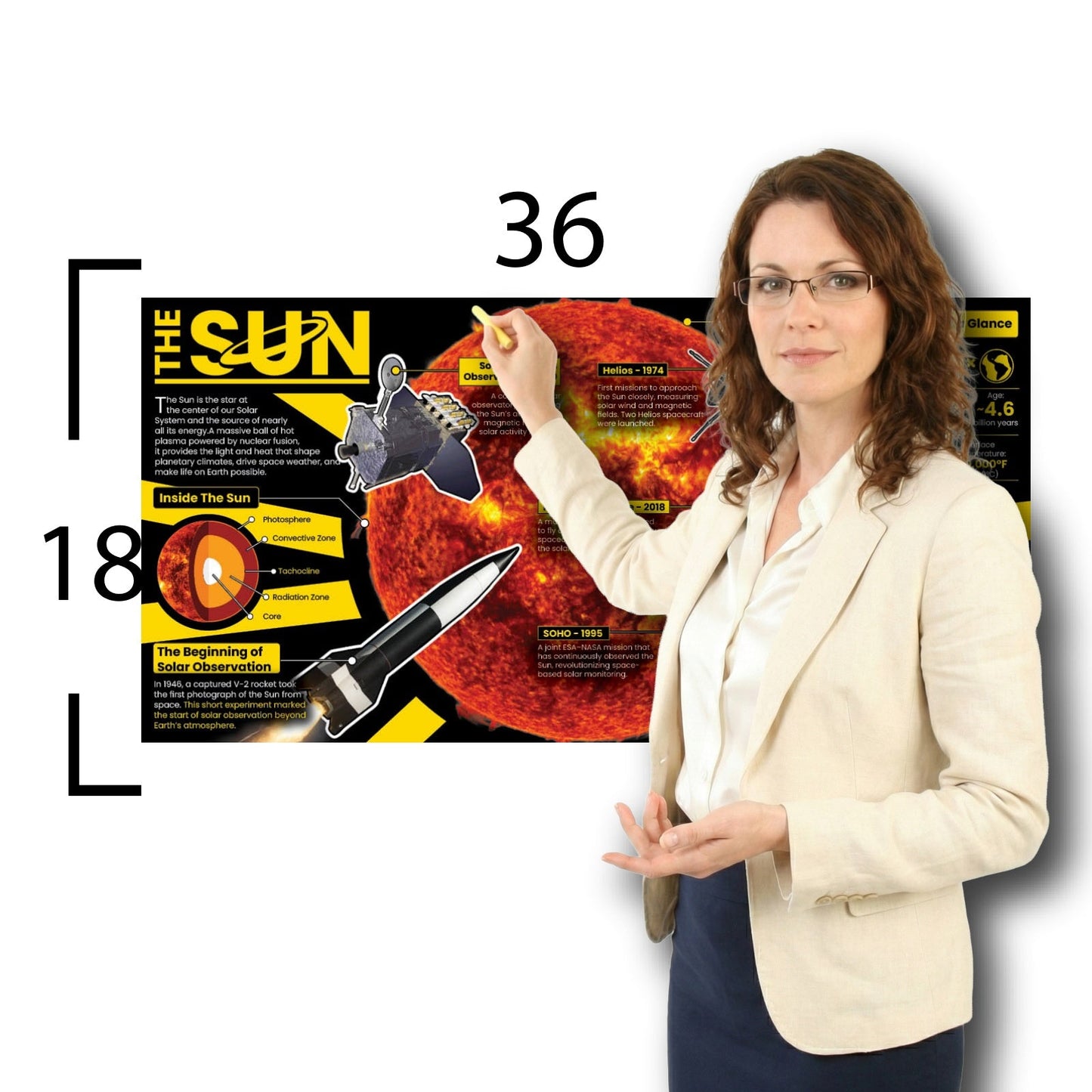 The Sun Educational Classroom Poster Young N Refined