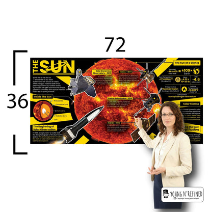 The Sun Educational Classroom Poster Young N Refined