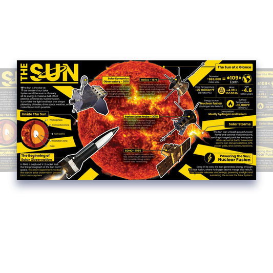 The Sun Educational Classroom Poster Young N Refined