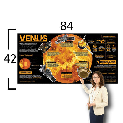 Venus Educational Classroom Poster Young N Refined