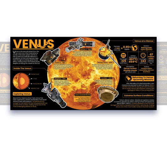 Venus Educational Classroom Poster Young N Refined