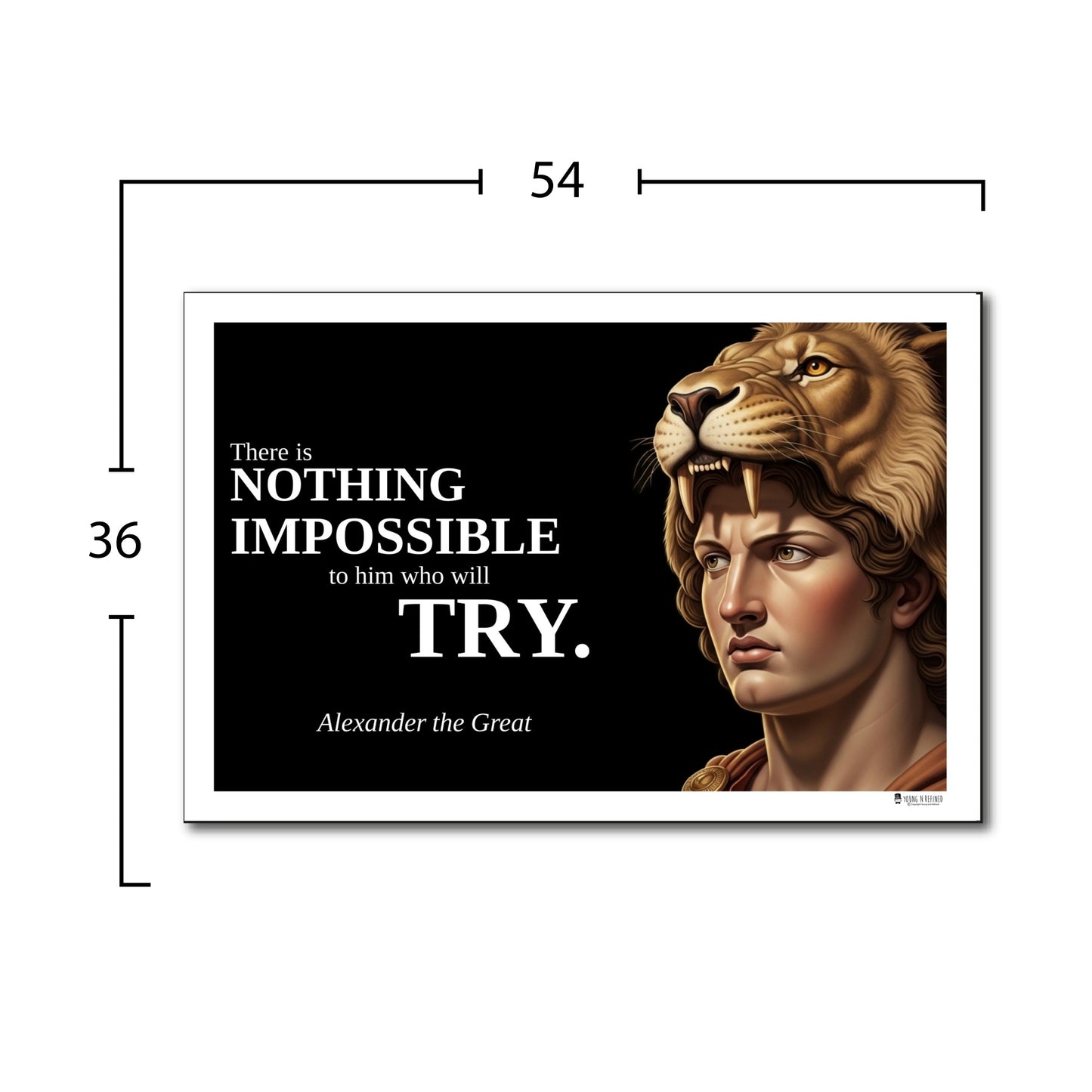 Alexander the Great Inspirational Quote Poster - Young N Refined