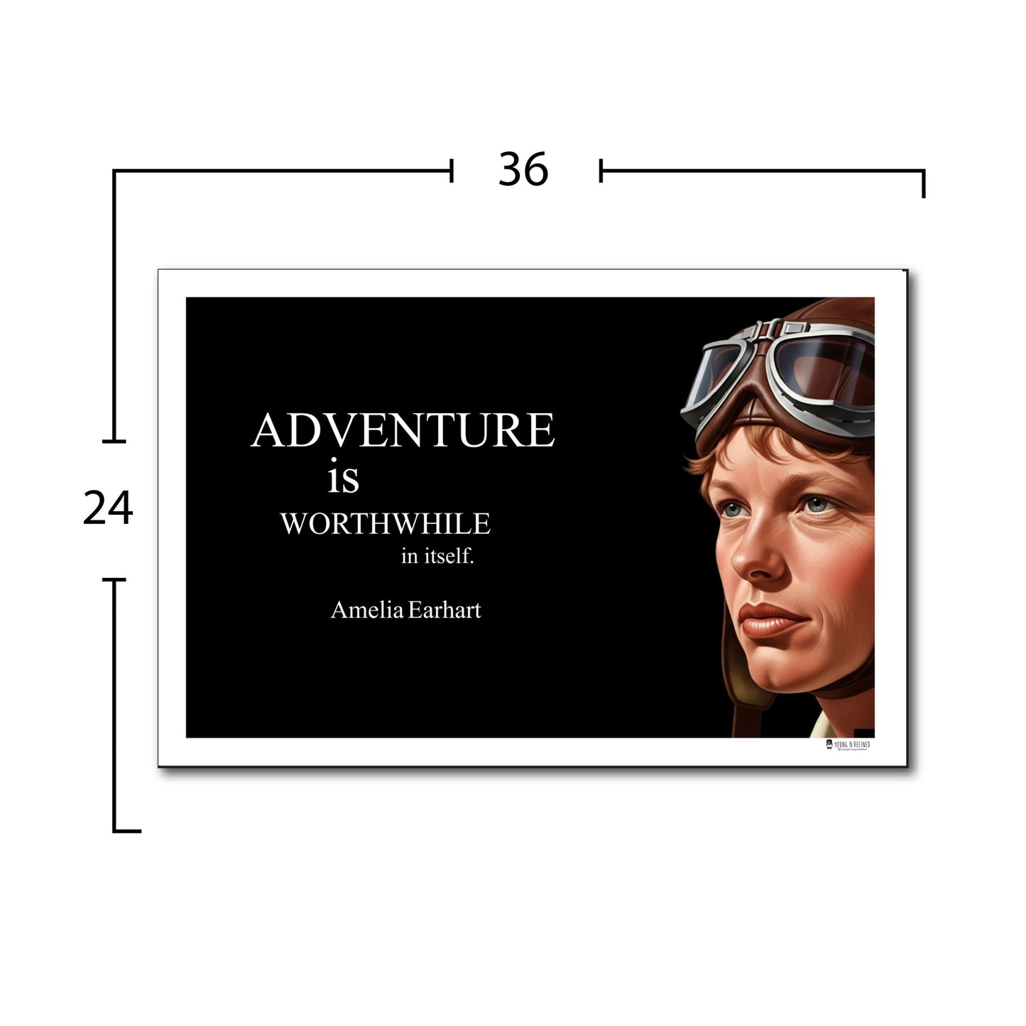 Amelia Earhart Inspirational Quote Wall Art