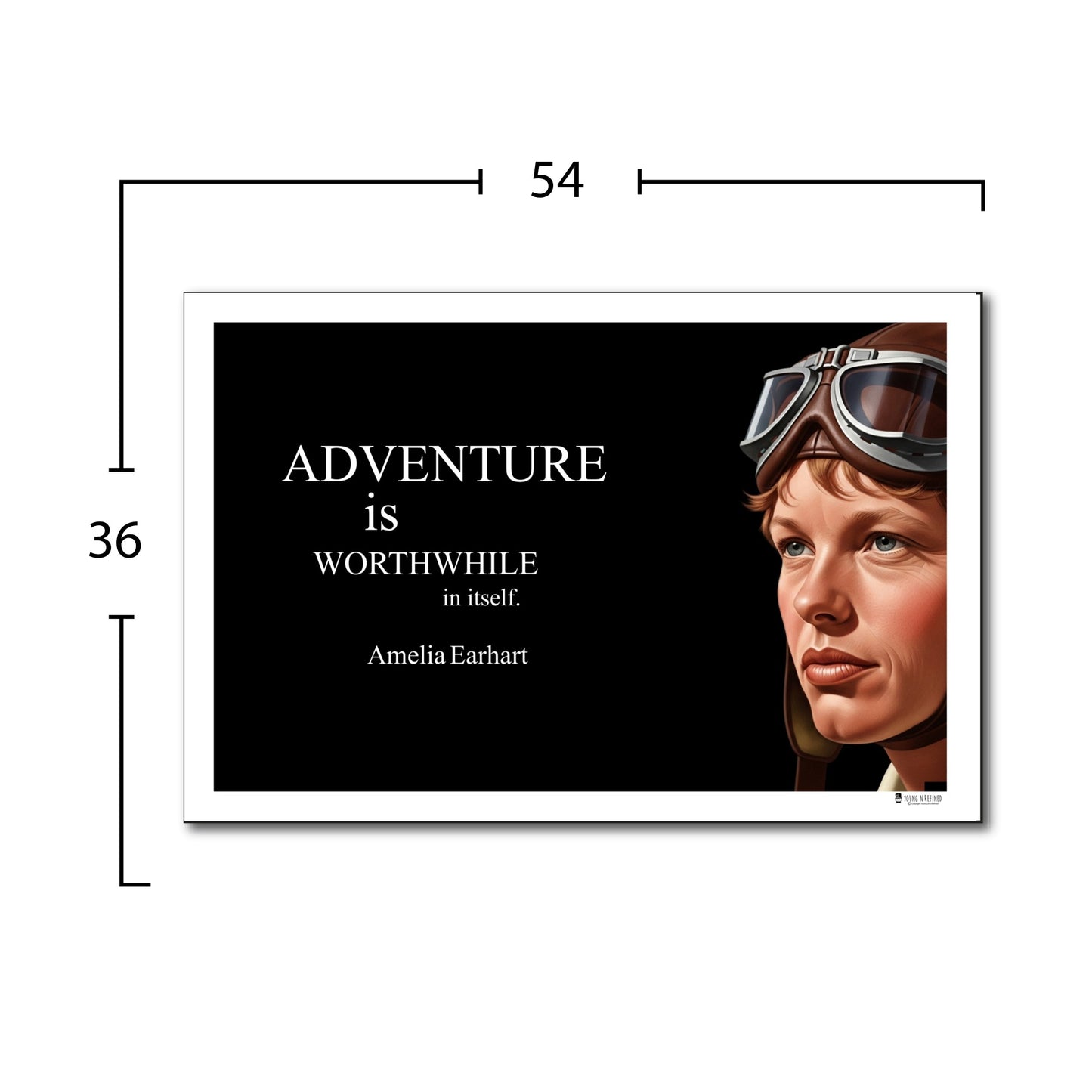 Amelia Earhart Inspirational Quote Wall Art