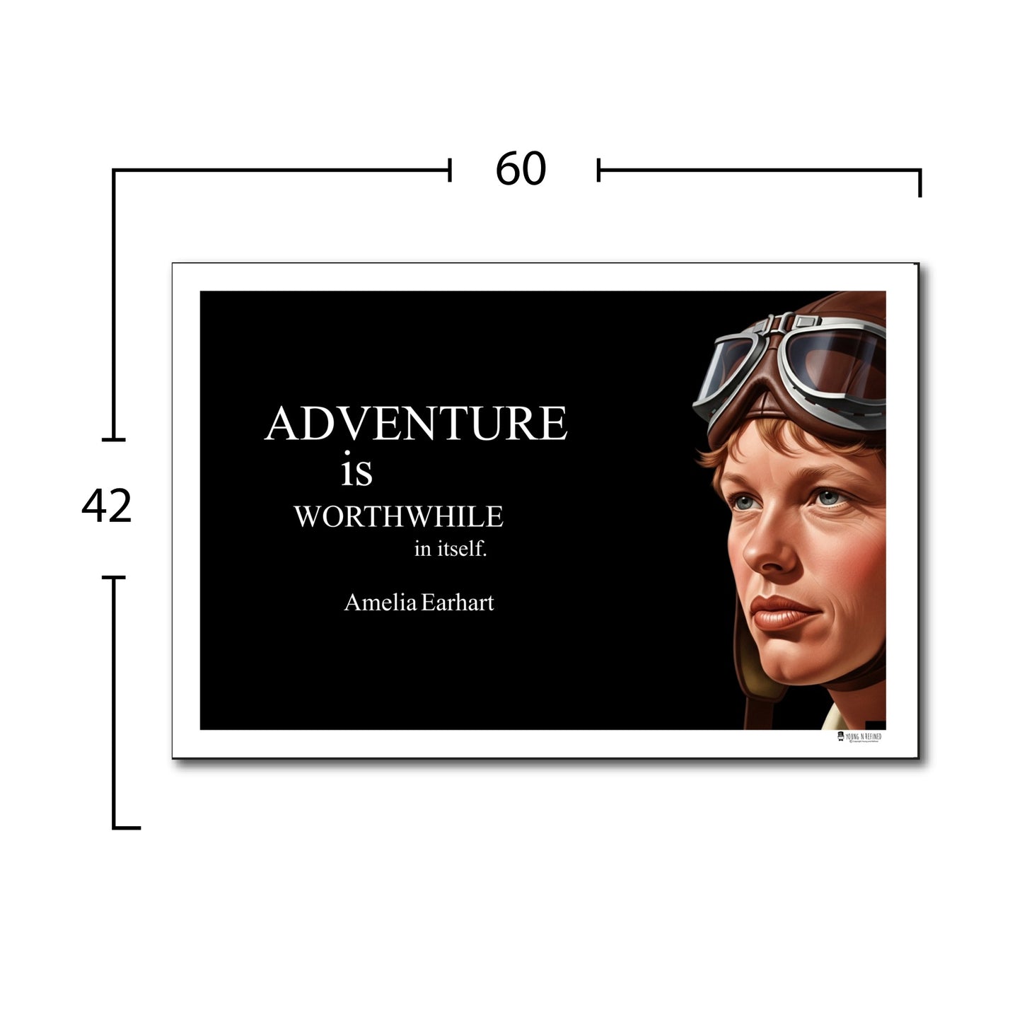 Amelia Earhart Inspirational Quote Wall Art