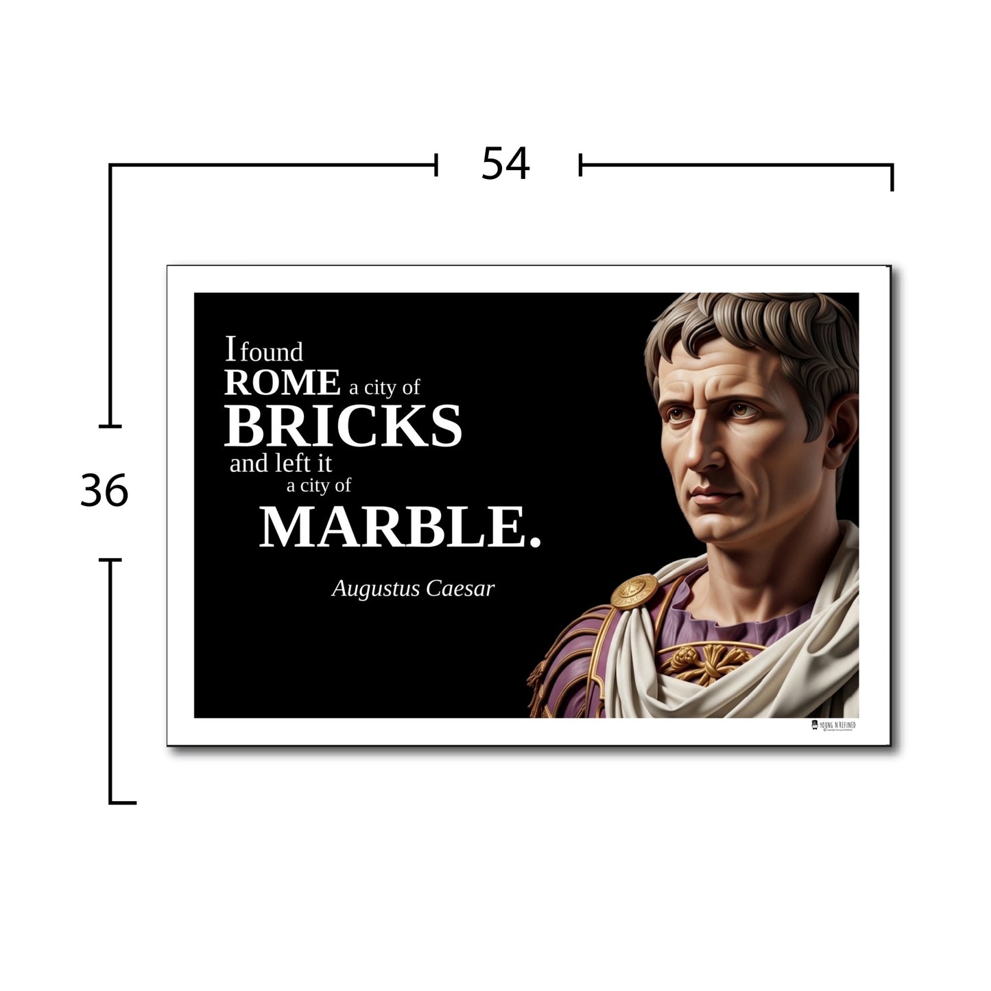Augustus Caesar Inspirational Quote Poster - Young N Refined