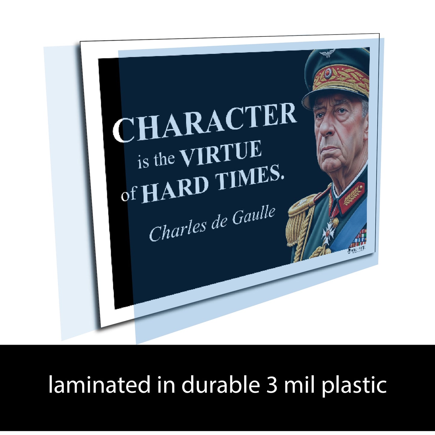 Charles de Gaulle Inspirational Quote Wall Art