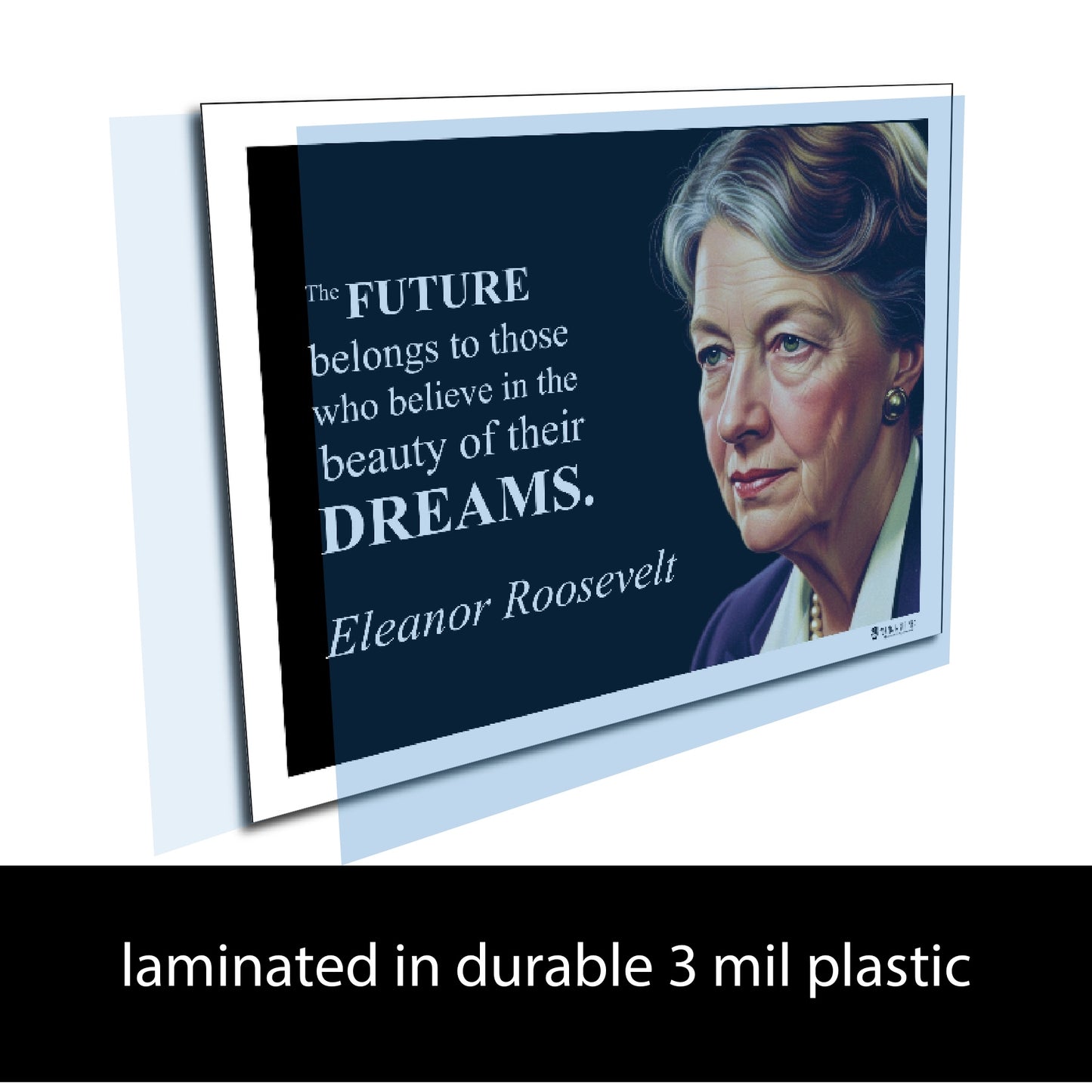 Eleanor Roosevelt Inspirational Quote Poster - Young N Refined