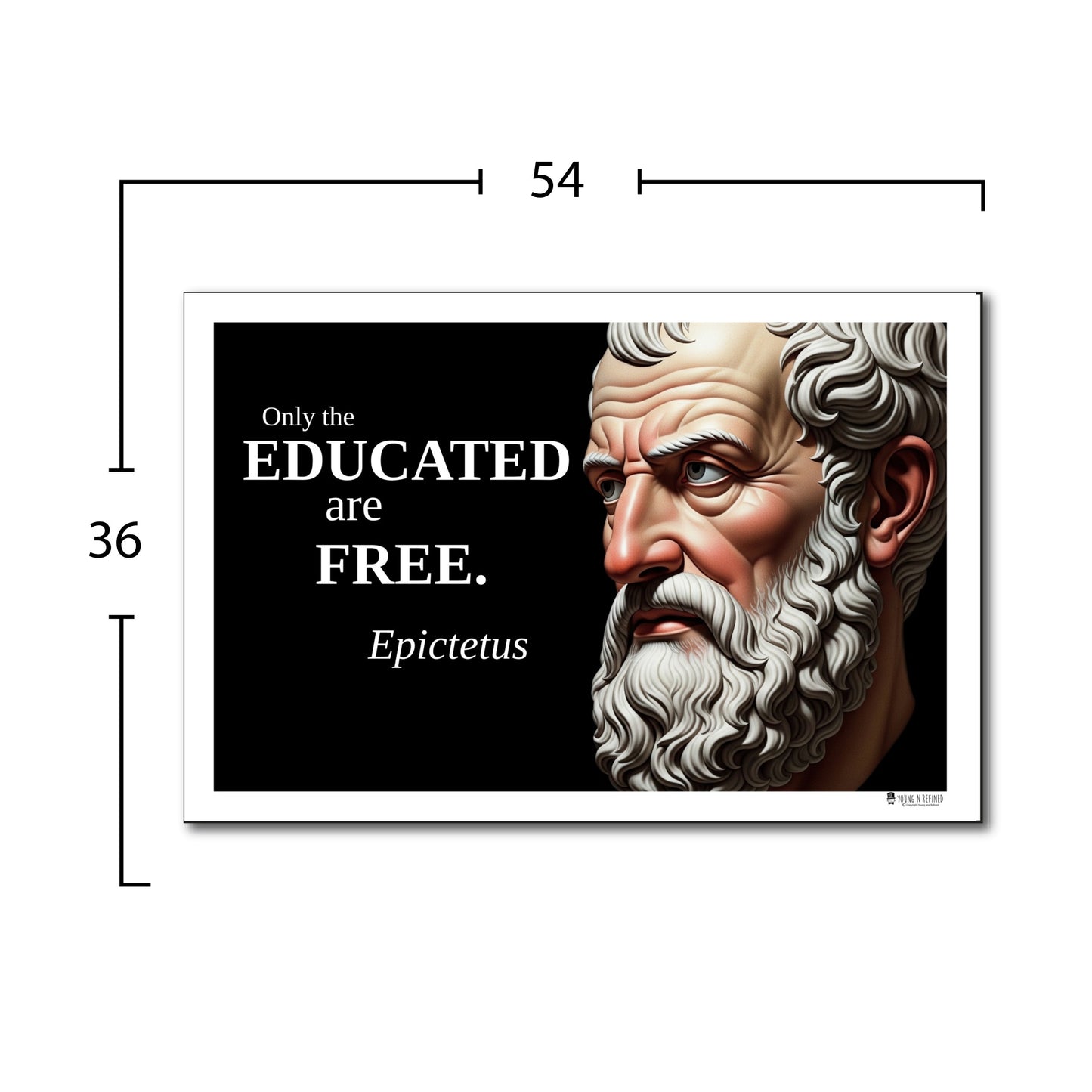 Aristotle Inspirational Quote Poster - Young N Refined