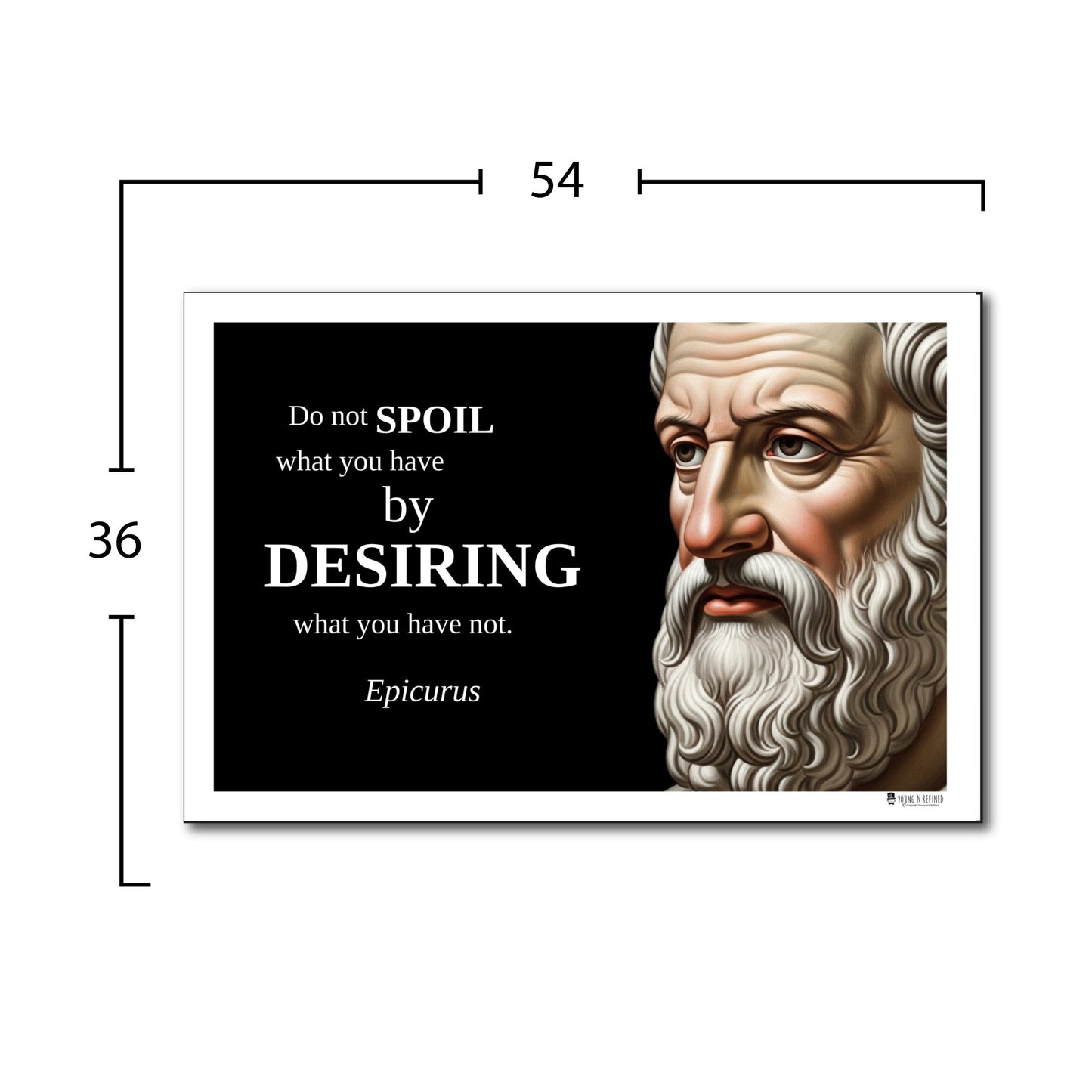 Aristotle Inspirational Quote Poster - Young N Refined