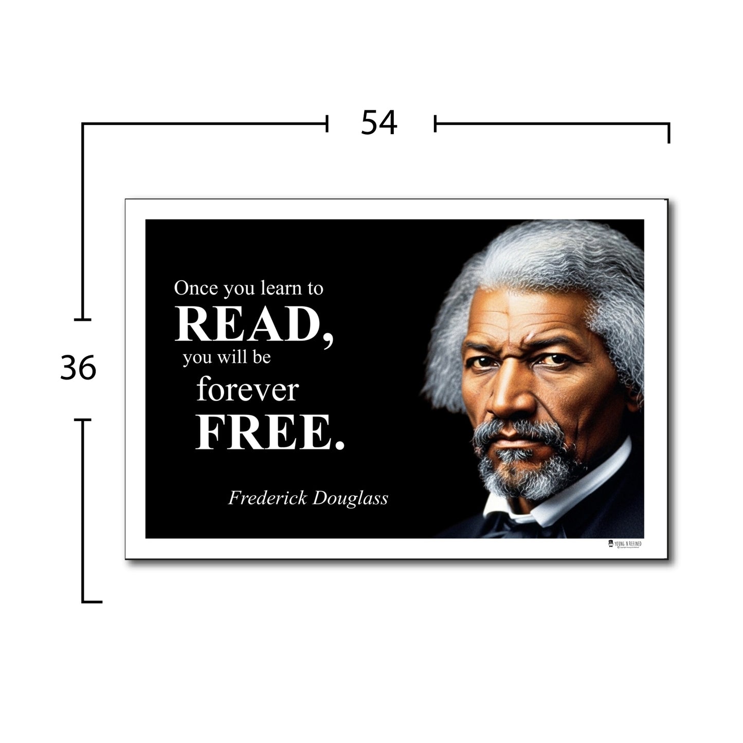 Frederick Douglass Inspirational Quote Poster - Young N Refined